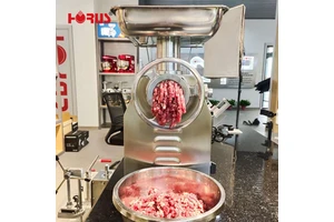 Horus Commercial-Grade Electric Meat Grinder Mincer Stainless Steel 350kg/h Capacity Compact Design For Home Kitchen Use