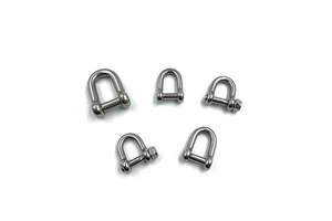 Stainless steel forged shackle D type for playground connection