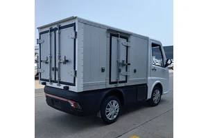 Pure Electric Pick up Truck with Cargo Box