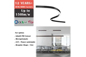 Bespoke Snake S Curve Linear Lighting Studio Light Table Light