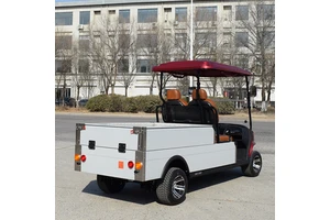 Electric Turf Utility Golf Cart with Cargo Bed 2-Seat Pick-Up, Ideal for Hotels, Farms & Commercial Use