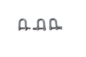 Stainless Steel European Type Dee Shackle