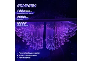 Interior Decoration Hotel Wing Shape Customized Ceiling Light PMMA Fiber Optic APP Remote Control Pendant Light LED Chandelier
