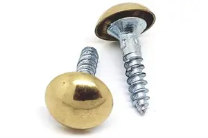 Highly Rated Wholesale Price Decorative Mirror Screw Furniture Hardware Fittings for Workshop Kitchen And Gym