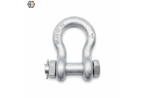 Screw Pin Anchor Shackle | High Strength Utility Fitting | Drop Forged Anchor Shackle