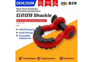 Premium Ce Certified Alloy Steel Stainless Steel 304 Carbon Steel Bolt Type D Shackle Bow Shackle High Strength Lifting Shackle