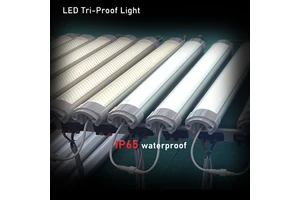Outdoors Lighting Aluminum Body Waterproof Ip65 Surface Mounted Tri-proof Led Linear Light