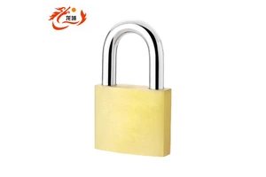 Dragon Domain Premium Security Custom 30mm, 50mm, 70mm Steel Shackle Brass Padlock