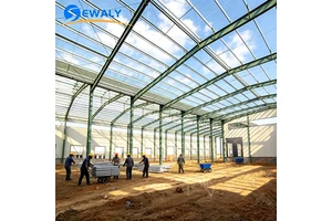 Sewaly Low Cost Prefabricated Steel Structure Warehouse Poultry Shed Construction House Light