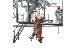 Industrial Automatic Cattle Slaughtering Equipment Stainless Steel Hook Shackle Hanger System For Abattoir Meat Processing Plant