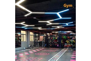 Special Shape Modern Commercial Detailing Ac110v-240v Dimmable Rgb Smart Linear Lamp