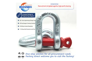 DIN82101/ISO2415 U-Shaped Shackle Buckle Wire Rope Lock Chain Connection Stainless Steel 304 316 Carbon Steel Galvanized Mining