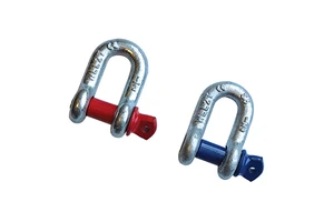 Zinc Plated/Hot Dip Galvanized High Tensile Straight D Shackle Bow Shackle 2 Ton