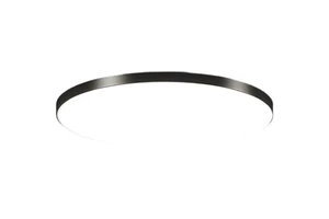 Modern LED Ceiling Light Dustproof Three Proof Light Kitchen Bedroom Bathroom Living Room Indoor Home Ceiling Lamp