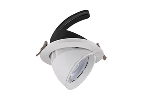30W 40W 50W Vertical Horizontal Rotatable Gimbal LED Spot Downlight LED Wall Washer Downlight