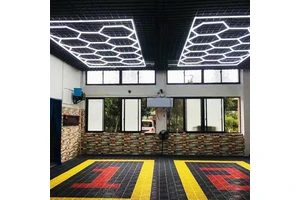Direct Order LED Car Detailing Light Led Garage Ceiling Light for the Car Polishing and clear the Car Wash