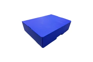 Heavy Duty Waterproof Polypropylene Airplane Box Durable Corrugated Plastic Folding Box Recyclable Storage Container For Parts