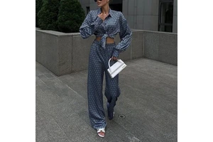 Blueberry Infalable Suit Bating Corporate Gownsmen Long-sleeve Collared Shirt Draped Wide-leg Pants Stylish Two-piece Set
