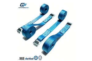Wholesale High Tenacity Deep Color Polyester Webbing 25mm Cam Buckle Cargo Tie Strap With Hook Customizable Length For Lifting