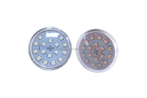 Factory Manufacturing Pre-programmed 60mm Amusement Decorating Point Lights 110V LED Fairground Cabochon Light