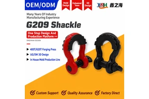 High Strength Alloy Steel Drop Forged Bow Shackle Screw Pin Anchor Shackle Heavy Duty Shackle For Crane Lifting